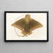 Fauna japonica Pl159 - Philipp Franz Balthasar von Siebold — framed artwork on a wall