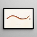 Fauna japonica Pl160 - Philipp Franz Balthasar von Siebold — framed artwork on a wall
