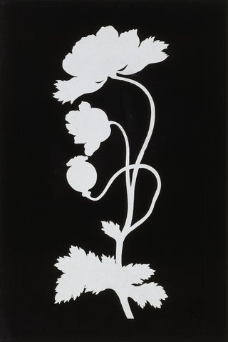 Philipp Otto Runge - Poppy.webp