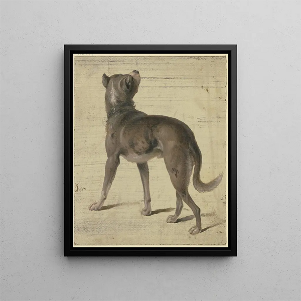 Dog - Philipp Rumpf — framed artwork on a wall