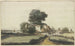 Maison paysanne sous des arbres au bord d'un fleuve - Philips Koninck — artwork view