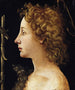 The Young Saint John the Baptist - Piero di Cosimo — artwork view