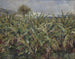 Banana Field Painting - Pierre-Auguste Renoir — artwork view