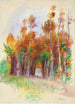 Bosquet d'arbres - Pierre-Auguste Renoir — artwork view