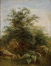 Study of a Bush, Plants, and Rocks beside Lake Nemi - Pierre-Henri de Valenciennes — artwork view
