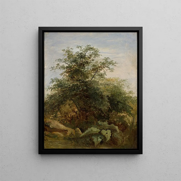 Study of a Bush, Plants, and Rocks beside Lake Nemi - Pierre-Henri de Valenciennes — framed artwork on a wall
