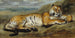 Tiger at Rest - Pierre Andrieu — artwork view