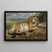 Tiger at Rest - Pierre Andrieu — framed artwork on a wall