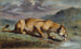 Lionne blessée - Pierre Andrieu — artwork view