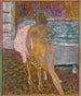 Woman at her toilette - Pierre Bonnard — artwork view