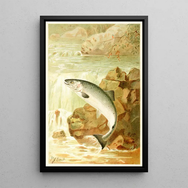 A salmon jump - Pierre Jacques Smit — framed artwork on a wall