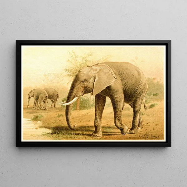 African Elephant Painting - Pierre Jacques Smit — framed artwork on a wall