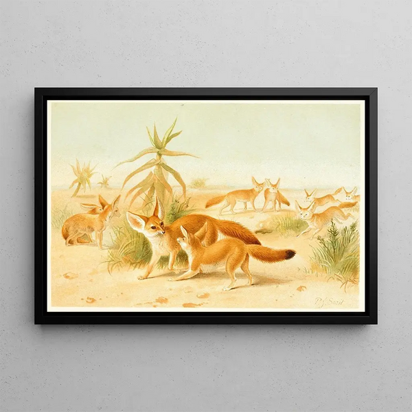 African Fennecs - Pierre Jacques Smit — framed artwork on a wall
