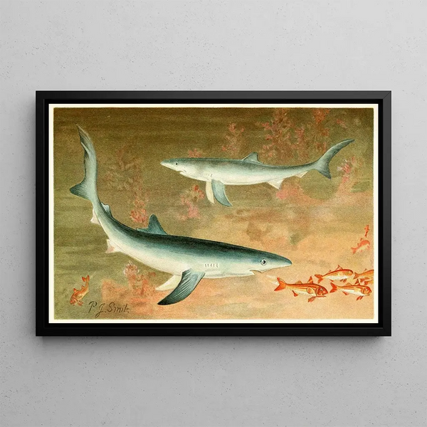 Blue Shark Painting - Pierre Jacques Smit — framed artwork on a wall