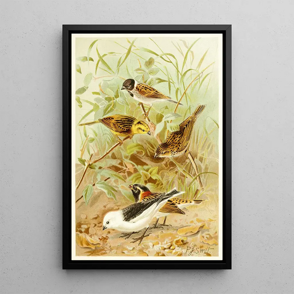 Bruants - Pierre Jacques Smit — framed artwork on a wall