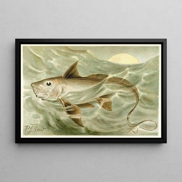 Chimère - Pierre Jacques Smit — framed artwork on a wall