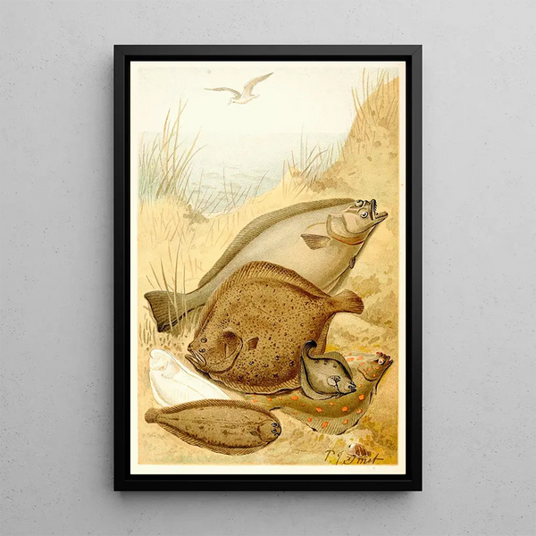 Fish painting - Pierre Jacques Smit — framed artwork on a wall