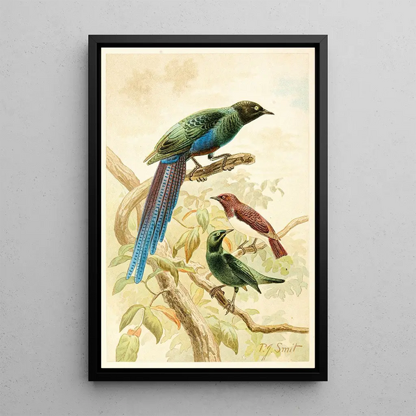 Bright Starlings Painting - Pierre Jacques Smit — framed artwork on a wall