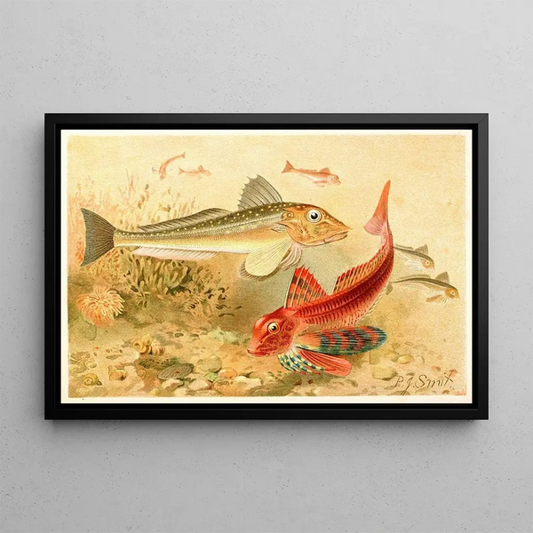 Grondins - Pierre Jacques Smit — framed artwork on a wall