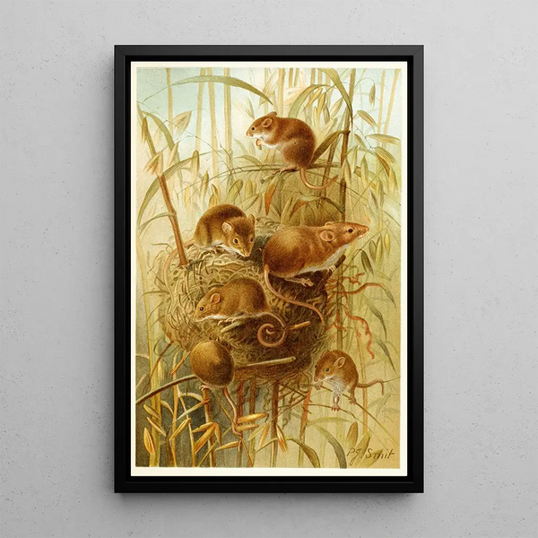 Harvest Mouse Painting - Pierre Jacques Smit — framed artwork on a wall