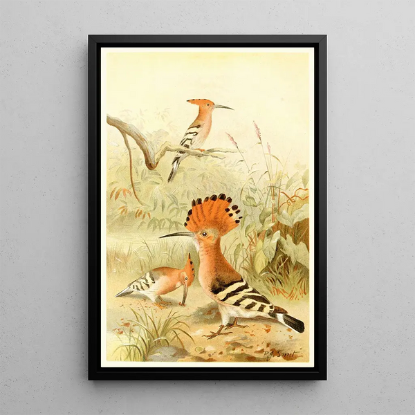 Huppes - Pierre Jacques Smit — framed artwork on a wall