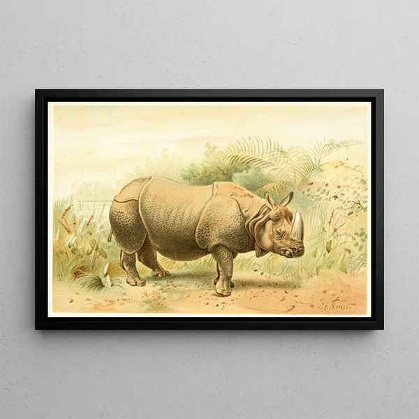 Indian Rhinoceros Painting - Pierre Jacques Smit — framed artwork on a wall