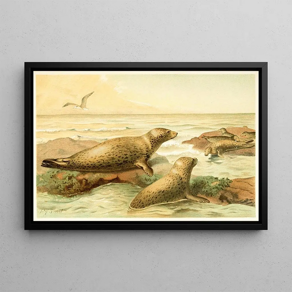 Leopard Seal Painting - Pierre Jacques Smit — framed artwork on a wall