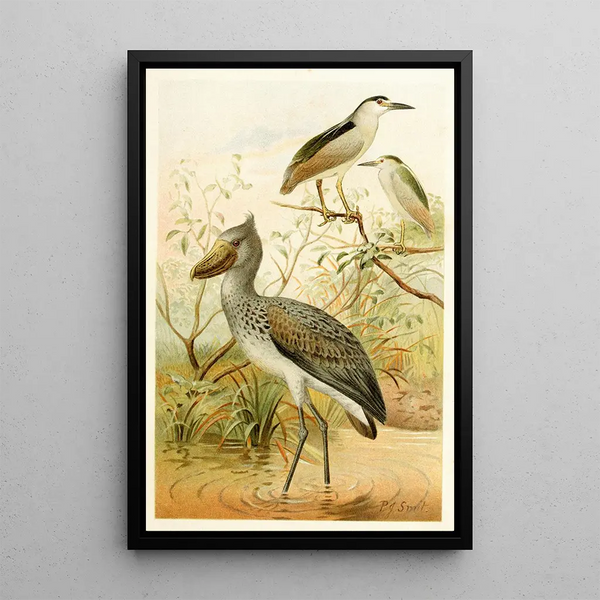 Bihoreau and Savacou - Pierre Jacques Smit — framed artwork on a wall