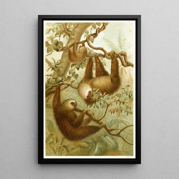 The Lazy Man with Two Fingers - Pierre Jacques Smit — framed artwork on a wall