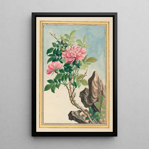 Plants of China Pl002 - Pierre Joseph Buchoz — framed artwork on a wall