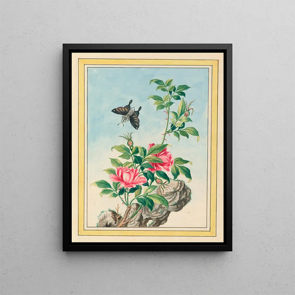Plants of China Pl.003 - Pierre Joseph Buchoz — framed artwork on a wall
