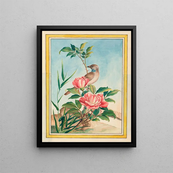 Plants of China Pl.004 - Pierre Joseph Buchoz — framed artwork on a wall