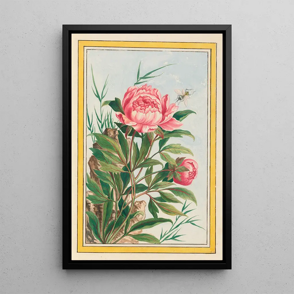 Plants of China Pl009 - Pierre Joseph Buchoz — framed artwork on a wall