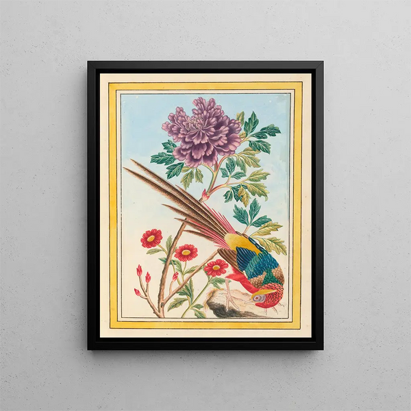 Plants of China Pl.011 - Pierre Joseph Buchoz — framed artwork on a wall