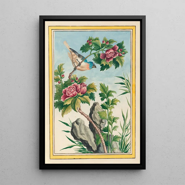 Plants of China Pl013 - Pierre Joseph Buchoz — framed artwork on a wall