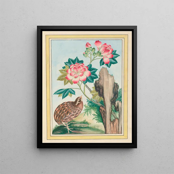 Plants of China Pl.015 - Pierre Joseph Buchoz — framed artwork on a wall