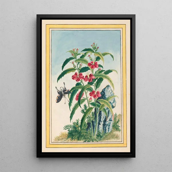 Plants of China Pl021 - Pierre Joseph Buchoz — framed artwork on a wall
