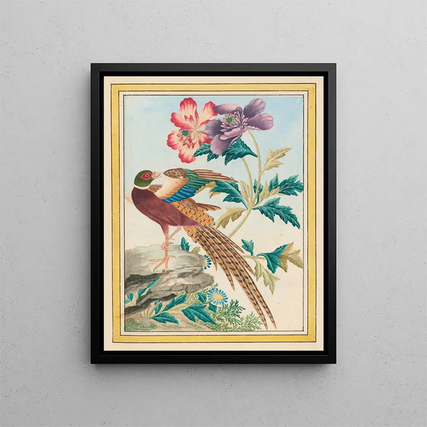 Plants of China Pl.024 - Pierre Joseph Buchoz — framed artwork on a wall