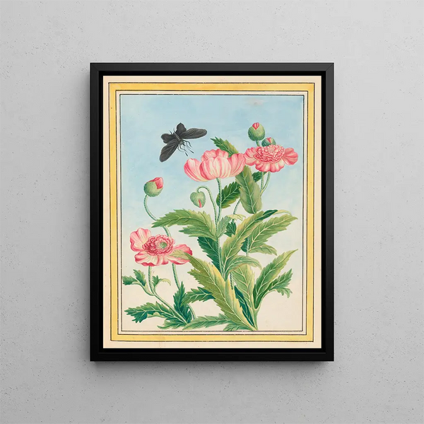 Plants of China Pl.025 - Pierre Joseph Buchoz — framed artwork on a wall