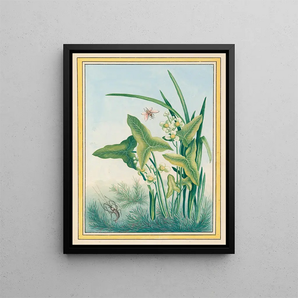 Plants of China Pl.029 - Pierre Joseph Buchoz — framed artwork on a wall
