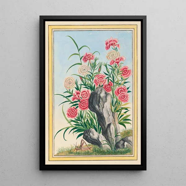 Plants of China Pl030 - Pierre Joseph Buchoz — framed artwork on a wall