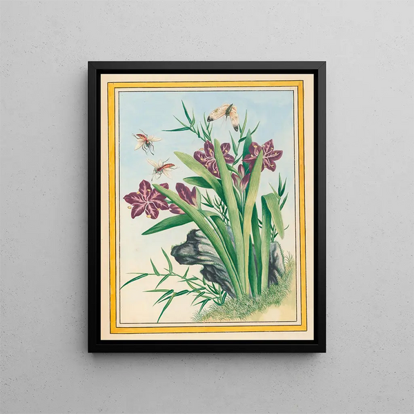 Plants of China Pl.036 - Pierre Joseph Buchoz — framed artwork on a wall