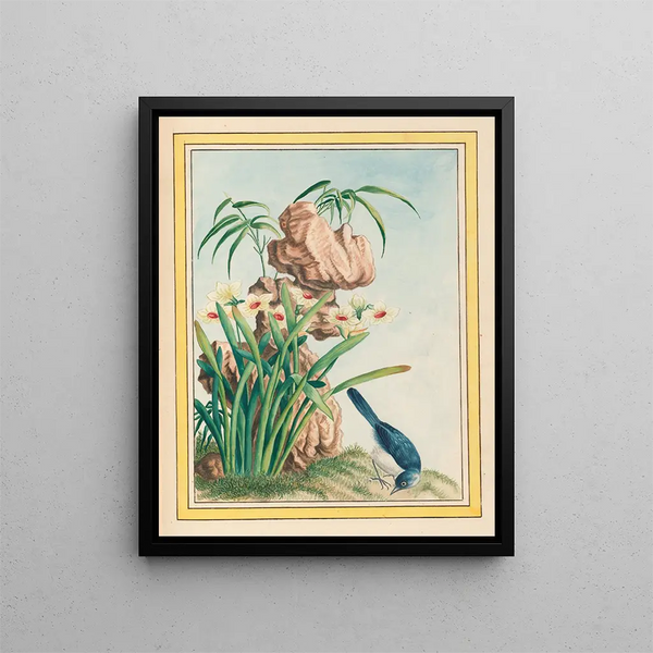 Plants of China Pl.040 - Pierre Joseph Buchoz — framed artwork on a wall