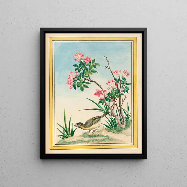 Plants of China Pl.044 - Pierre Joseph Buchoz — framed artwork on a wall