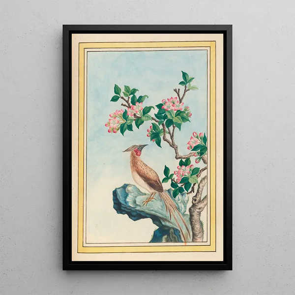Plants of China Pl048 - Pierre Joseph Buchoz — framed artwork on a wall
