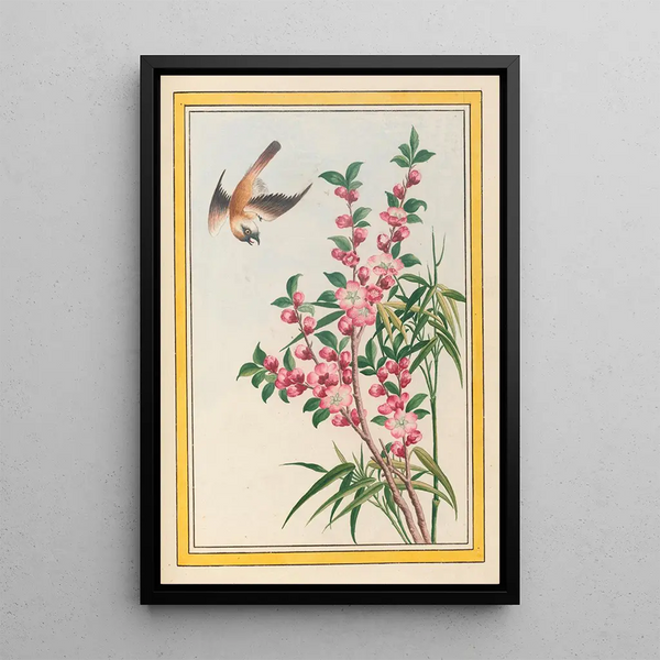 Chinese Plants Painting Pl049 - Pierre Joseph Buchoz — framed artwork on a wall