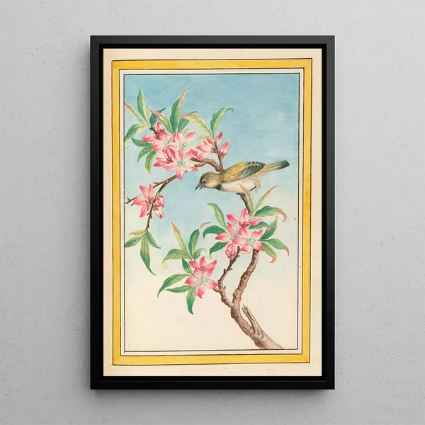 Chinese Plants Painting Pl052 - Pierre Joseph Buchoz — framed artwork on a wall