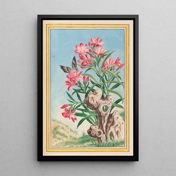 Plants of China Pl054 - Pierre Joseph Buchoz — framed artwork on a wall