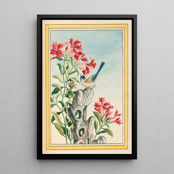 Plants of China Pl055 - Pierre Joseph Buchoz — framed artwork on a wall