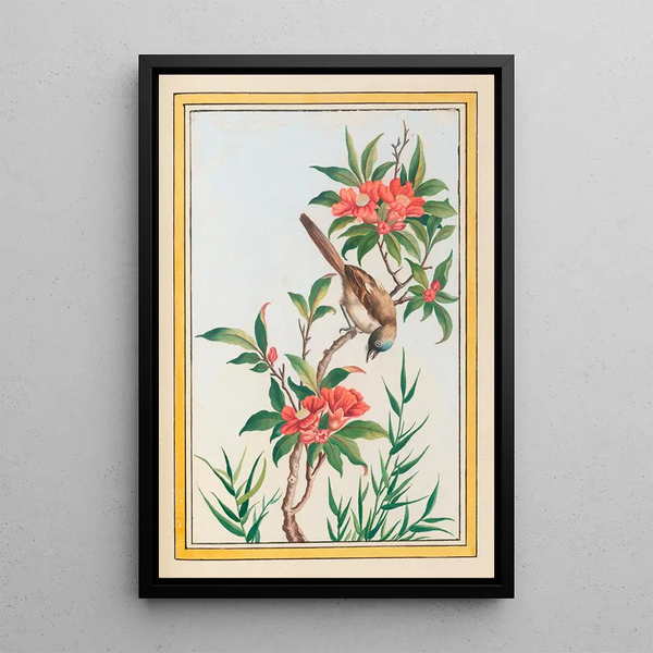 Chinese Plants Painting Pl056 - Pierre Joseph Buchoz — framed artwork on a wall